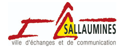 logo de la marque Ville de Sallaumines